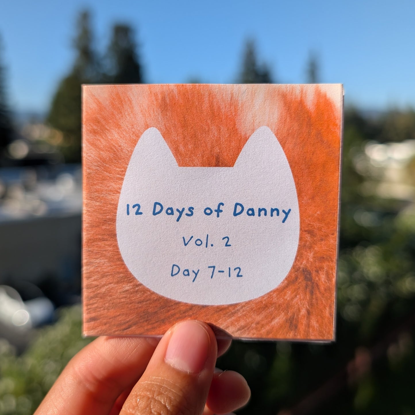 12 Days of Danny Zine Vol.2,  Day 7 to 12