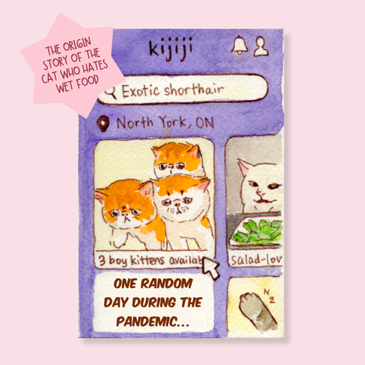 How I adopted Danny Zine