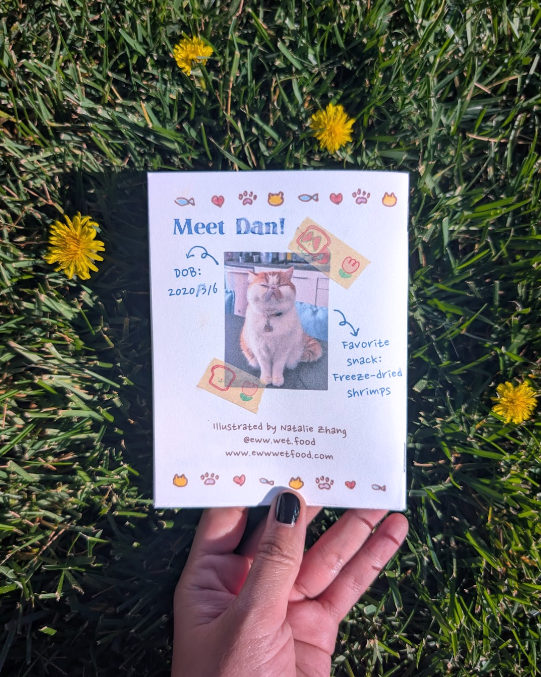 14 Things I Love About My Cat Zine