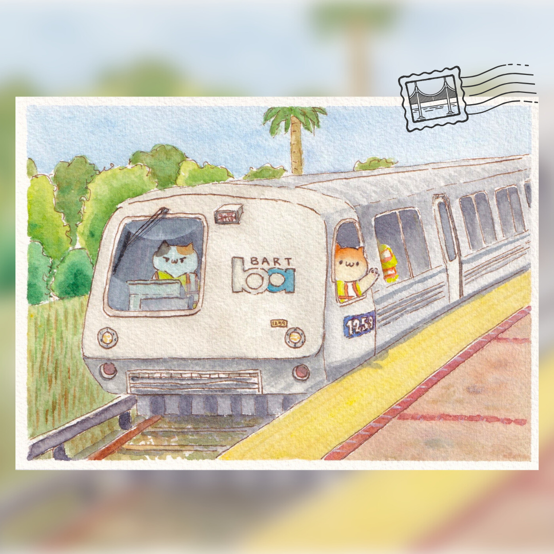 'Cats in the Bay' Postcard Set, Contains 4 Unique Postcards