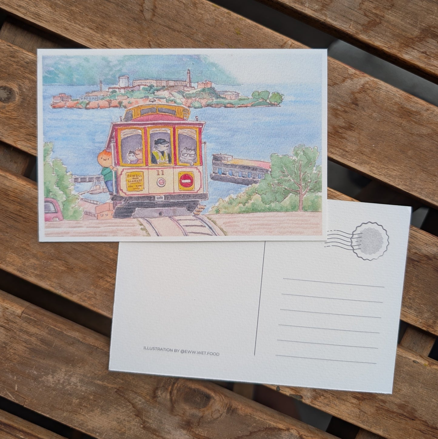 'Cats in the Bay' Postcard Set, Contains 4 Unique Postcards