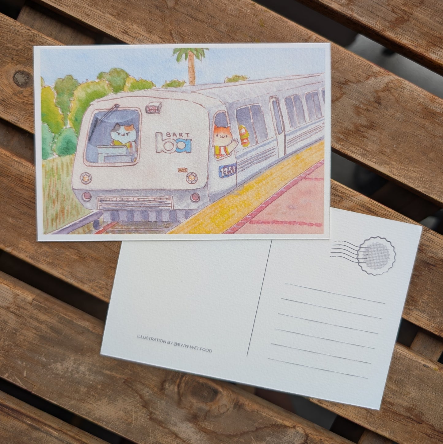 'Cats in the Bay' Postcard Set, Contains 4 Unique Postcards