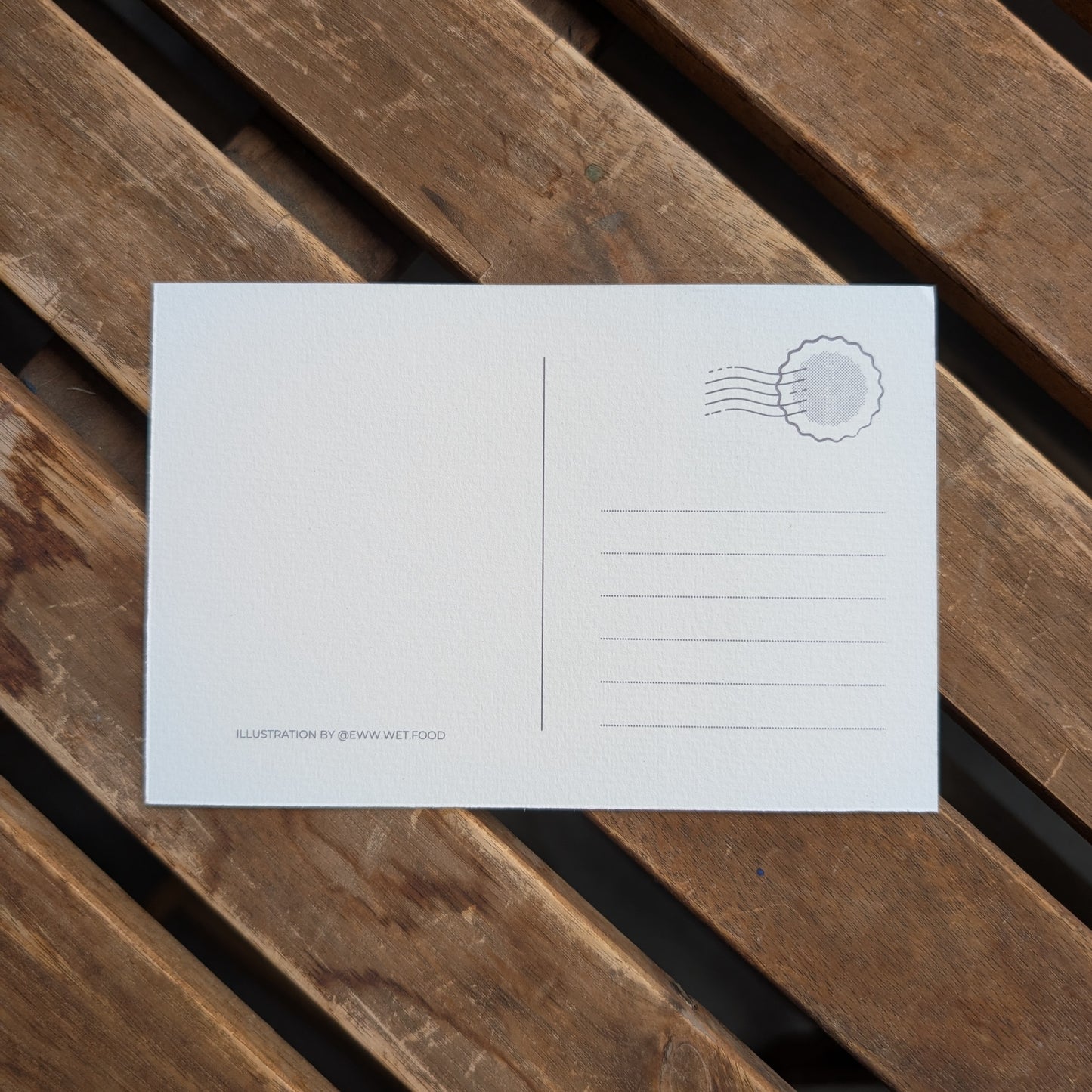 'Cats in the Bay' Postcard Set, Contains 4 Unique Postcards