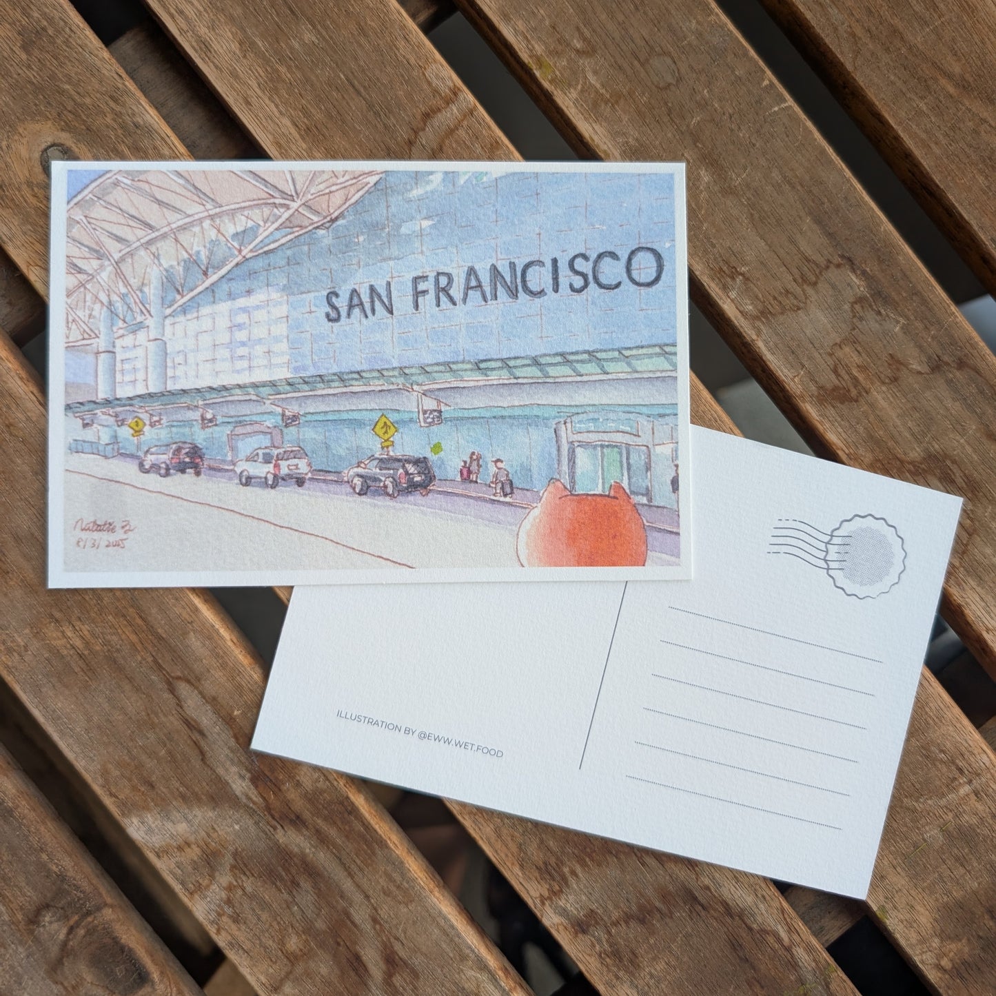 'Cats in the Bay' Postcard Set, Contains 4 Unique Postcards