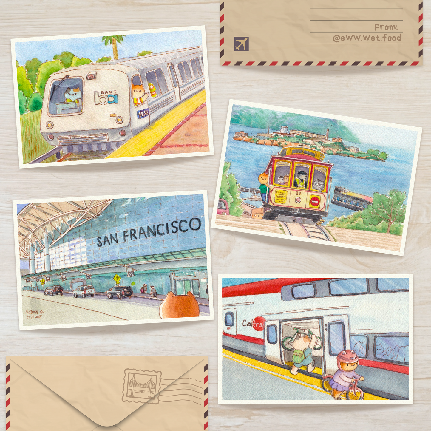 'Cats in the Bay' Postcard Set, Contains 4 Unique Postcards